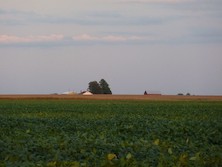 Look across Farm