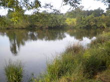 Parkers Lake - Pond 