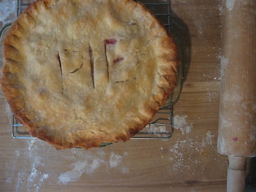 Rhubarb Pie