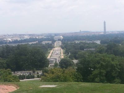 CustisViewDC
