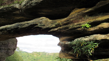 Red River Gorge