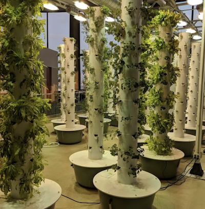 O Hare Hydroponic Garden