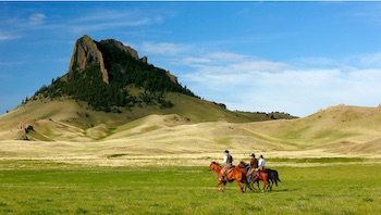 Montana Cowboys