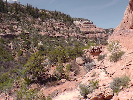 Canyons Bears Ears