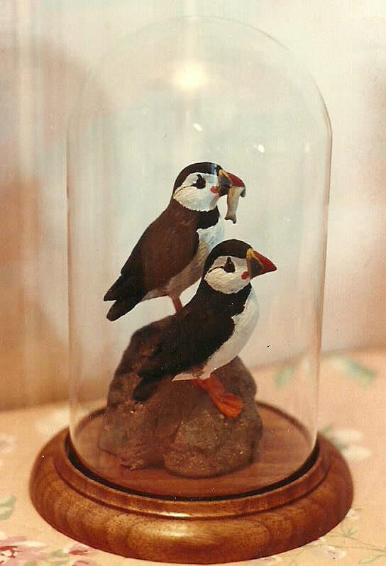 WBDeSelms_Puffins