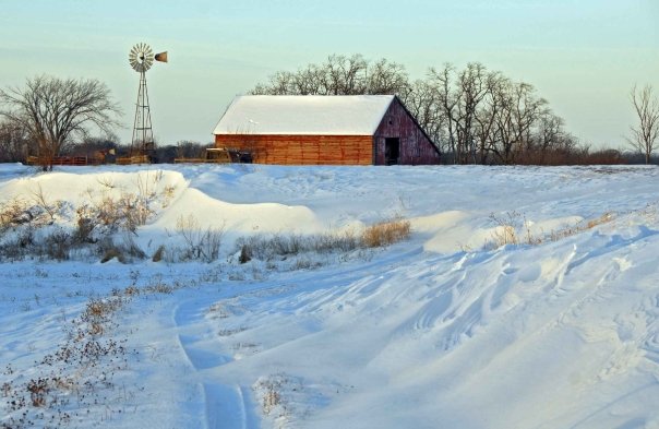 Farm Scene W ILL