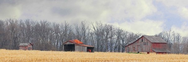 Farm Fall